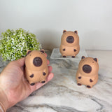 Squishy Toy - Capybara