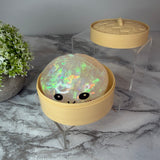 Squishy Toy - Viral Dumpling, Clear Holographic