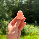 Squishy Toy - Adult Humor Penis